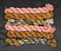 Gemstone Pink Reflection Sock Mini Set of 6