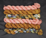 Gemstone Pink Reflection Sock Mini Set of 6