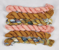 Gemstone Pink Reflection Sock Mini Set of 6