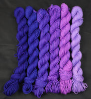 Purple Paintbrush Reflection Sock Mini Set of 6