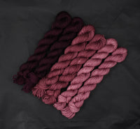 La Vie En Rose Reflection Sock Mini Set of 6