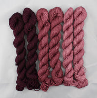 La Vie En Rose Reflection Sock Mini Set of 6